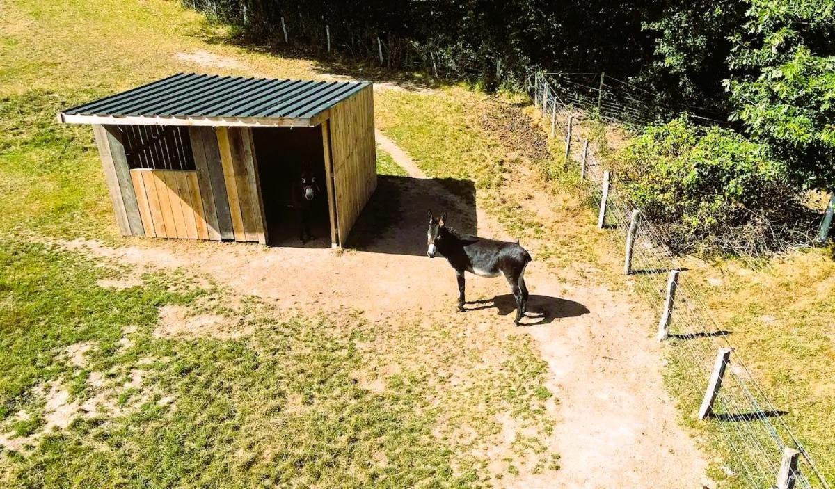 Roulotte & Foret - Evasion Boheme En Bourgogne Antully Zewnętrze zdjęcie