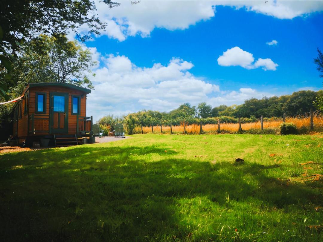Roulotte & Foret - Evasion Boheme En Bourgogne Antully Zewnętrze zdjęcie